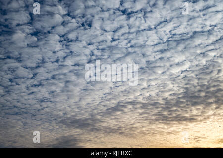 Cielo azzurro sfondo con piccolissima parentesi nuvole in serata. Cancellazione di giorno e buon tempo ventoso Foto Stock