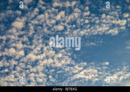 Cielo azzurro sfondo con piccolissima parentesi nuvole in serata. Cancellazione di giorno e buon tempo ventoso Foto Stock