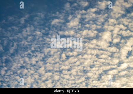 Cielo azzurro sfondo con piccolissima parentesi nuvole in serata. Cancellazione di giorno e buon tempo ventoso Foto Stock