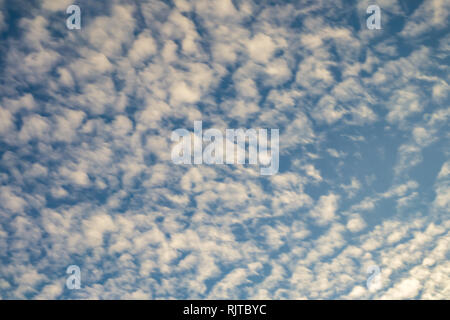 Cielo azzurro sfondo con piccolissima parentesi nuvole in serata. Cancellazione di giorno e buon tempo ventoso Foto Stock