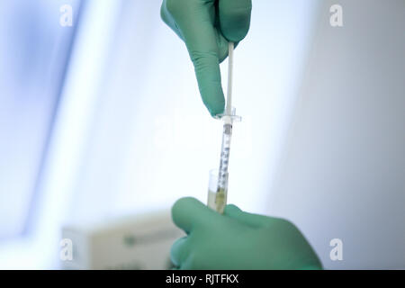 Dettagli con le mani di un medico, gomma da indossare i guanti chirurgici e di estrazione di sangue e di plasma da una fiala con una siringa Foto Stock