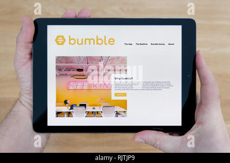 Un uomo guarda il sito Bumble sul suo iPad dispositivo tablet, sparato contro un tavolo di legno top sfondo (solo uso editoriale). Foto Stock