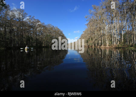 Fisheating Creek, Florida 01-13-2013 Active senior kayak sul tannino-acqua macchiata di Fisheating Creek su un tranquillo pomeriggio d'inverno. Foto Stock