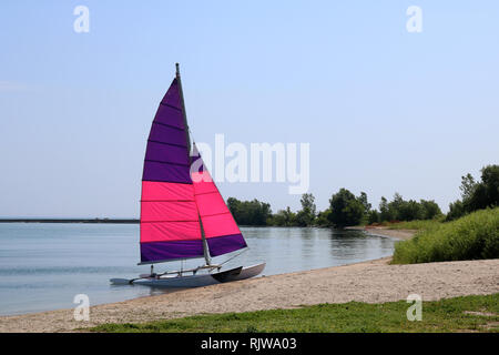 Piccole barche a vela sul lago Ontario Foto Stock