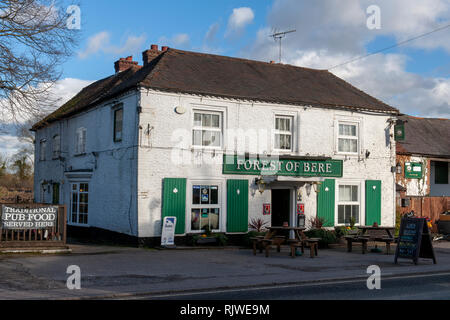 Foresta di bere public house, Hambledon Road, Denmead, Waterlooville, Hampshire, Inghilterra, Regno Unito Foto Stock