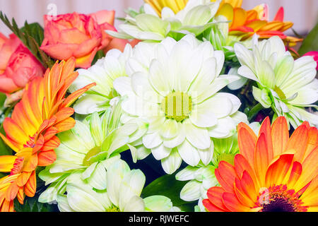 Bouquet di bianco e arancione gerbere. Decorativa arrangiamento floreale di differenti gerbere. Messa a fuoco selettiva Foto Stock