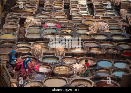 Mаn lavorando come un tanner in vecchie vasche a concerie di pelle con vernice di colore. nell'antica medina - Conceria Chouara, Fes el Bali. Fez, in Marocco Foto Stock