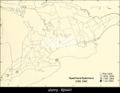 . Atlas delle rare piante vascolari di Ontario. Piante rare; Botanica. Atlas delle rare piante vascolari di Ontario/Atlas des plantes vasculaires rares de l'Ontario LIPPENBLÜTLER ) Agastache scrophularllfolla (willd.) Kuntze viola gigante Agastache issopo Ã feuilles de scrofulaire. Si prega di notare che queste immagini vengono estratte dalla pagina sottoposta a scansione di immagini che possono essere state migliorate digitalmente per la leggibilità - Colorazione e aspetto di queste illustrazioni potrebbero non perfettamente assomigliano al lavoro originale. Argus, George W. (George William); Museo Nazionale di Scienze Naturali (Canada). Divisione di botanica. Ottaw Foto Stock