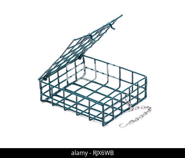 Unico metallo Suet Wild Bird Cage alimentatore isolato su sfondo bianco. In vinile rivestito di filo per proteggere gli uccelli piedi. Foto Stock