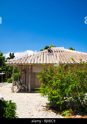 Una tradizionale casa di Okinawa (Ryukyuan casa) con distinte terracotta tegole rosse e shisa statua sul tetto. Di Taketomi, Isole Yaeyama, Giappone. Foto Stock