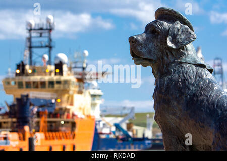 Scultura di 'Bamse' un cane eroe a Montrose Heritage Trust site. Porto di Montrose Scozia UK Foto Stock