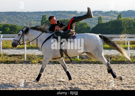 Bold uomo in sella a un cavallo grigio. Foto Stock