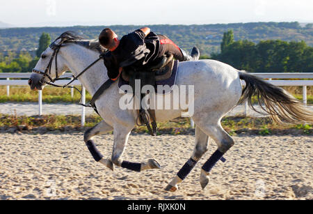 Bold uomo in sella a un cavallo grigio. Foto Stock