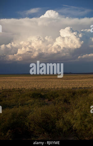 Guzman, MPO. Ascensión, Chihuahua, Messico Foto Stock