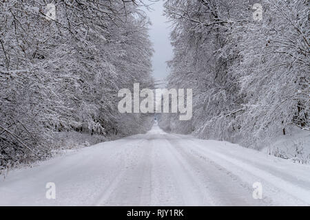 Strada fiancheggiata da alberi rientranti nella distanza coperta in spesse fresche bianche neve d'inverno. Scenic paesaggio stagionali Foto Stock