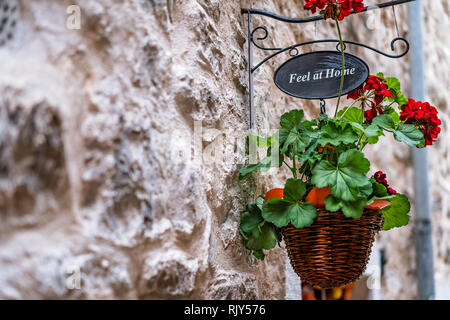 Cestino con fiori di colore rosso e la placca con parole sento un t Home appeso al muro di casa accanto alle porte anteriori Foto Stock