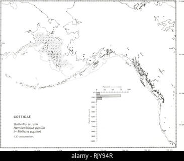 . Atlas e faunistica di pesci comuni nel Mare di Bering e nel Nordest Pacifico / M. James Allen, Gary B. Smith. I pesci del mare di Bering la distribuzione geografica.. BUTTERFLY SCULPIN, Hemilepidotus papilio (fagiolo 1880) Cottidae: Sculpins commento tassonomica la farfalla sculpin è Melletes papilio in Robins (1980) ma Peden (1978), la revisione più recente del hemilepidotine cottids, posto questa specie in genere Hemilepidotus. La letteratura ha riferito di Hokkaido, Giappone, e il Mare di Okhotsk al mare Chukchi e a sud-est nel mare di Bering a est di Isole Pribilof (Andriyashev 1954; Pe Foto Stock