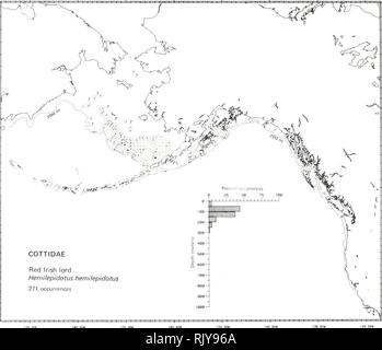 . Atlas e faunistica di pesci comuni nel Mare di Bering e nel Nordest Pacifico / M. James Allen, Gary B. Smith. I pesci del mare di Bering la distribuzione geografica.. Rosso signore irlandese, Hemilepidotus hemilepidotus (Tilesius 1811) Cottidae: Letteratura Sculpins segnalati da Cape Piratkova al golfo di Ozernoy nel sud-est della Kamchatka, lungo il comandante e nelle Isole Aleutine, nord nel sud-est del mare di Bering a San Paolo isola, e sud-est al punto di cozze, California (Hart 1973; Peden 1978), a profondità dalla zona intercotidale a 80 m (Peden 1978; Howe 1981). I dati del sondaggio si trova dalla porta off Foto Stock