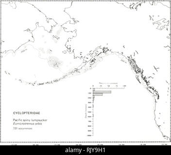 . Atlas e faunistica di pesci comuni nel Mare di Bering e nel Nordest Pacifico / M. James Allen, Gary B. Smith. I pesci del mare di Bering la distribuzione geografica.. Pacifico LUMPSUCKER spinosa, Eumicrotremus orbis (Giinther 1896) Cyclopteridae: Lumpfishes e letteratura Snailfishes segnalati da Muroran, Hokkaido, Giappone, e il Mare di Okhotsk al mare Chukchi, verificatisi ad ovest lungo le isole Aleutian a Amchitka Island e a est di Puget Sound, Washington (Ueno 1970; quast e Hall 1972; Simenstad et al. 1977; Eschmeyer e araldo 1983), fino a una profondità di 0 a 240 m (Fedorov 1973a; Eschmeyer e il suo Foto Stock