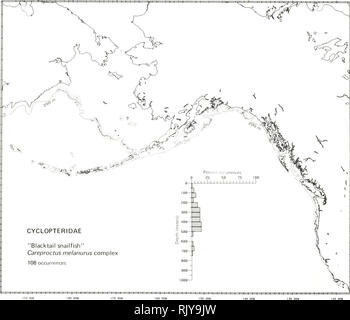 . Atlas e faunistica di pesci comuni nel Mare di Bering e nel Nordest Pacifico / M. James Allen, Gary B. Smith. I pesci del mare di Bering la distribuzione geografica.. "BLACKTAIL SNAILFISH", Careproctus melanurus Cyclopteridae complesse: Lumpfishes e Snailflshes commento tassonomica di questo complesso può includere quattro specie che sono stati chiamati "blacktail snailfish" nel campo, comprese le seguenti: Alaska snailfish, colletti Careproctus Gilbert 1896; blackfinned snailfish, C. cypselurusQordan e Gilbert 1898 in Giordania e Evermann); forktail snailfish, C. furcellus Gilbert e Foto Stock