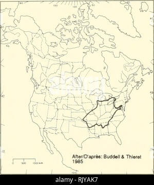 . Atlas delle rare piante vascolari di Ontario. Piante rare; Botanica. HABITAT: ricco e umide, boschi di latifoglie; aperto, boschi golenali fluviali e bottomlands; streambanks; di calcare e di spiagge di ciottoli. Stato: Rare in Canada. In via di estinzione in Wisconsin; raro in Maryland, New York e Pennsylvania. Note: Il nome comune di "harbinger-di-molla" è appropriata per Ehgenia bulbosa, poiché esso è la nostra prima-blooming millefiori native. Piante di fioritura di questa specie sono state raccolte come presto come il 1 aprile in Ontario. La sua stagione di crescita è un fugace uno, tuttavia, e per la prima settimana di giugno Foto Stock