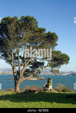 Mount Edgcumbe Park, Sud Est della Cornovaglia Foto Stock