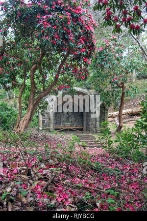 Scolpiti stonePicklecombe sede vicino a Fort Picklecombe sul Monte Edgcumbe station wagon, Cornwall Foto Stock