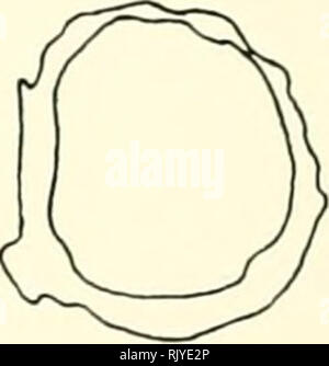 . Atlas di influenza ematologia. Ematologia veterinaria; pollame -- malattie. . Si prega di notare che queste immagini vengono estratte dalla pagina sottoposta a scansione di immagini che possono essere state migliorate digitalmente per la leggibilità - Colorazione e aspetto di queste illustrazioni potrebbero non perfettamente assomigliano al lavoro originale. Lucas, Alfred M. (Alfred Martin), 1900-; Jamroz, Casimiro. Washington, D. C. : U. S. Dipartimento di Agricoltura Foto Stock