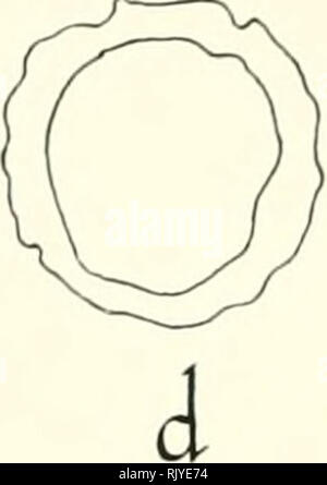 . Atlas di influenza ematologia. Ematologia veterinaria; pollame -- malattie. . Si prega di notare che queste immagini vengono estratte dalla pagina sottoposta a scansione di immagini che possono essere state migliorate digitalmente per la leggibilità - Colorazione e aspetto di queste illustrazioni potrebbero non perfettamente assomigliano al lavoro originale. Lucas, Alfred M. (Alfred Martin), 1900-; Jamroz, Casimiro. Washington, D. C. : U. S. Dipartimento di Agricoltura Foto Stock