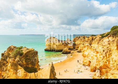 Lucertole da mare rilassante sulla spiaggia sabbiosa dalle scogliere di arenaria, Alvor, Agarve, Portogallo, Europa Foto Stock