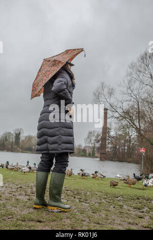 Kidderminster, Regno Unito. 8 febbraio, 2019. Regno Unito: meteo persistente pioggia pesante porta a livelli di acqua di risalita in Worcestershire con docce blustery continuando per tutto il giorno. Giovane donna indossa cappotto lungo e wellies lotte con la sua brolly sul bagnato e condizioni ventose. Credito: Lee Hudson/Alamy Live News Foto Stock