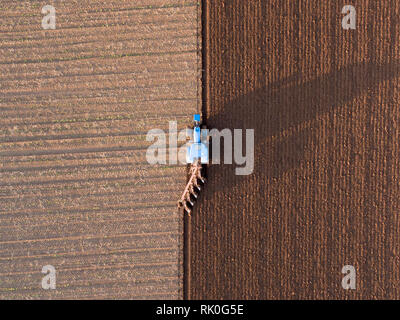 Vista aerea di un agricoltore in un trattore blu arando un campo in tarda serata sun, Kincardineshire, Scozia Foto Stock