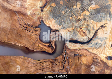 Tree fetta tagliata, sezione di forma irregolare, consistenza naturale, morbido di colore marrone e giallo naturale moncone rotto vintage vecchio sfondo colorato. Fare il vostro Foto Stock
