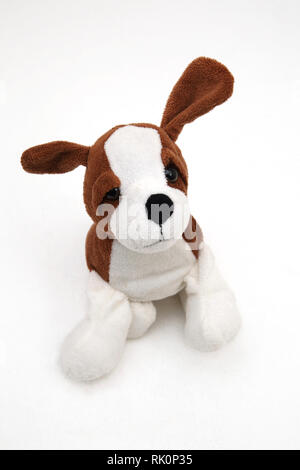 Peluche cane Beagle Foto Stock