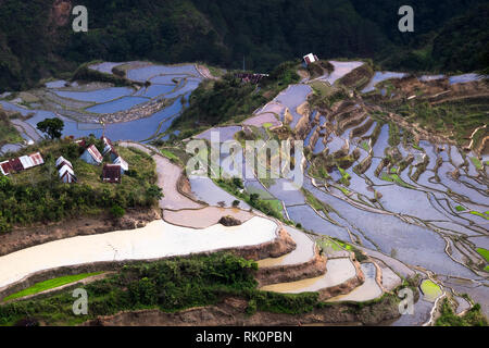 Case di villaggio vicino a terrazze di riso i campi. Incredibile abstract texture con sky colorato riflesso nell'acqua. Ifugao provincia. Banaue, Filippine UNESCO Foto Stock