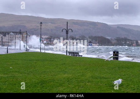 Largs, Scozia - Febbraio 08, 2019: La città di Largs è colpito dalla tempesta Eric come torential onde di pioggia e vento a buffet la città e il lungomare ca Foto Stock