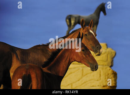 Due cavalli, il mare e il suo puledro, alla ricerca di una fotocamera in piedi accanto a un cavallo statua di metallo sullo sfondo. Orizzontale, Verticale, lateralmente. Foto Stock