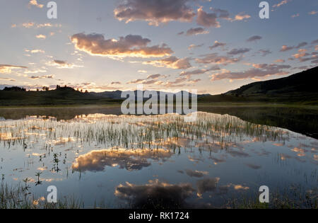 WY03366-00...WYOMING - la mattina presto la luce del sole sulle nuvole riflettono in un piccolo laghetto vicino al fiume Lamar nel Parco Nazionale di Yellowstone. Foto Stock