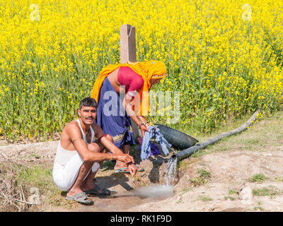Rajasthani matura il lavaggio della biancheria in campagna. Rajasthani persone sono noti come alcuni dei più colorato di persone in India. Foto Stock
