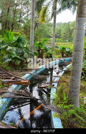 Un modo di acqua in un parco abbandonato nel sud est asiatico Foto Stock