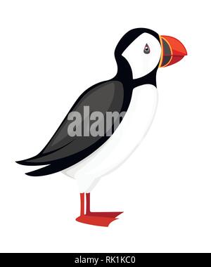 Flying White Bird. Atlantic puffin. Animali artici, cartoon design piatto. Illustrazione di vettore isolato su sfondo bianco. Illustrazione Vettoriale