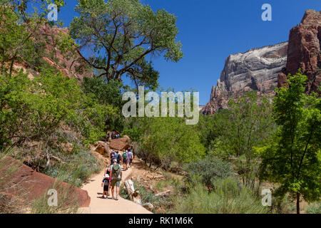 Walkers sul pool di smeraldo sentiero accanto al fiume vergine vicino a Sion Lodge, Parco Nazionale Zion, Utah, Stati Uniti. Foto Stock