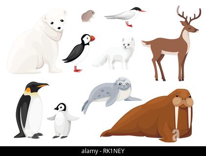 Set di animali artici icona. Uccelli e mammiferi. Animali artici, cartoon design piatto. Illustrazione di vettore isolato su sfondo bianco. Illustrazione Vettoriale