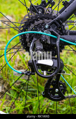 Primo piano di una bicicletta meccanismo di ingranaggi e catena sulla ruota posteriore della mountain bike. Ruota posteriore cassetta da una mountain bike su erba verde dello sfondo. Foto Stock