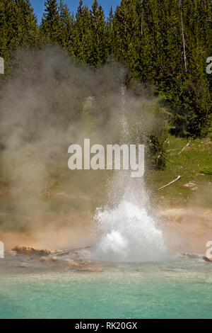 WY03395-00...WYOMING - Imperiale Geyser situato nel Midway Geyser Basin del Parco Nazionale di Yellowstone. Foto Stock