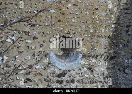 Roughton St Mary torre rotonda chiesa, North Norfolk, Inghilterra, Regno Unito. Foto Stock