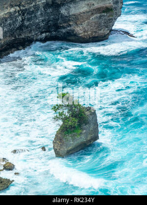 Un albero che cresce sulla caduta di una roccia calcarea in mare presso la base di scogliere Uluwatu Bali Indonesia. Foto Stock