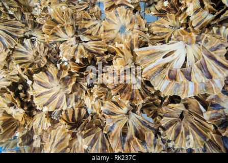 Pesci secchi in grande quantità. Magazzino di pesce essiccato sul mercato. Foto Stock