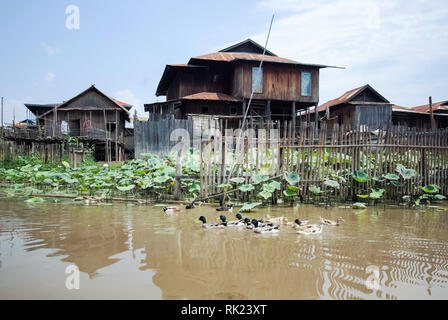 Lago Inle, Myanmar - Giugno 23, 2015: case di legno sull'acqua su palafitte, un villaggio di pescatori sul Lago Inle in Myanmar. Foto Stock