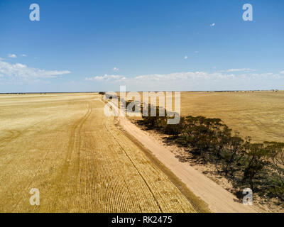 Antenna di campi di orzo con vegetazione originaria formando un frangivento sulla penisola di Eyre South Australia Foto Stock